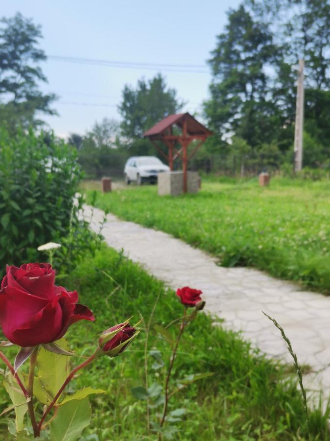 Casa Luca Ama Bran Villa Bran  Esterno foto