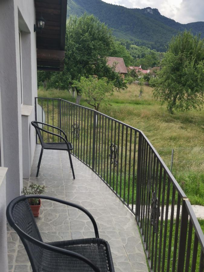 Casa Luca Ama Bran Villa Bran  Esterno foto