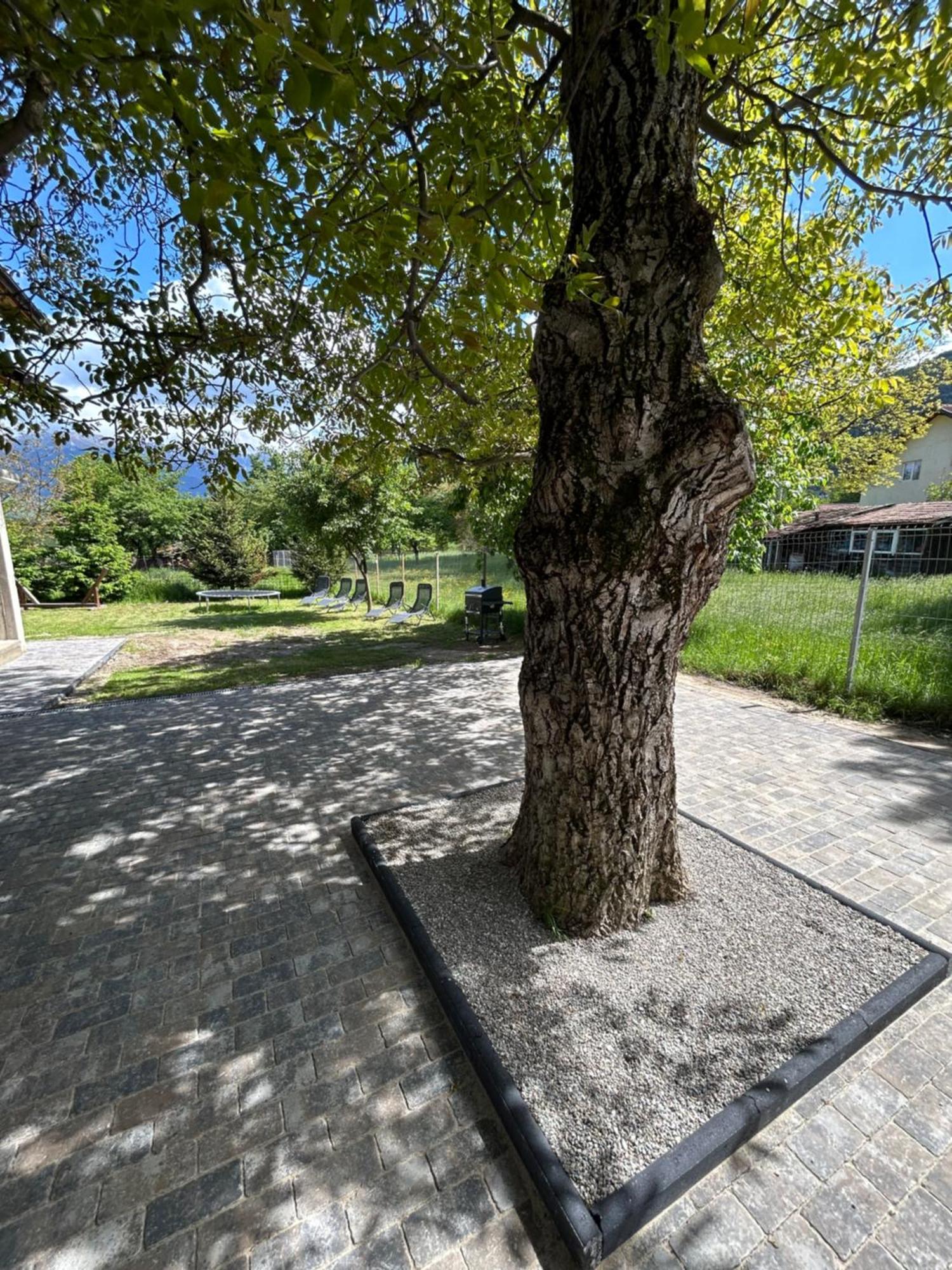 Villa Casa Luca Ama Bran Bran  Esterno foto