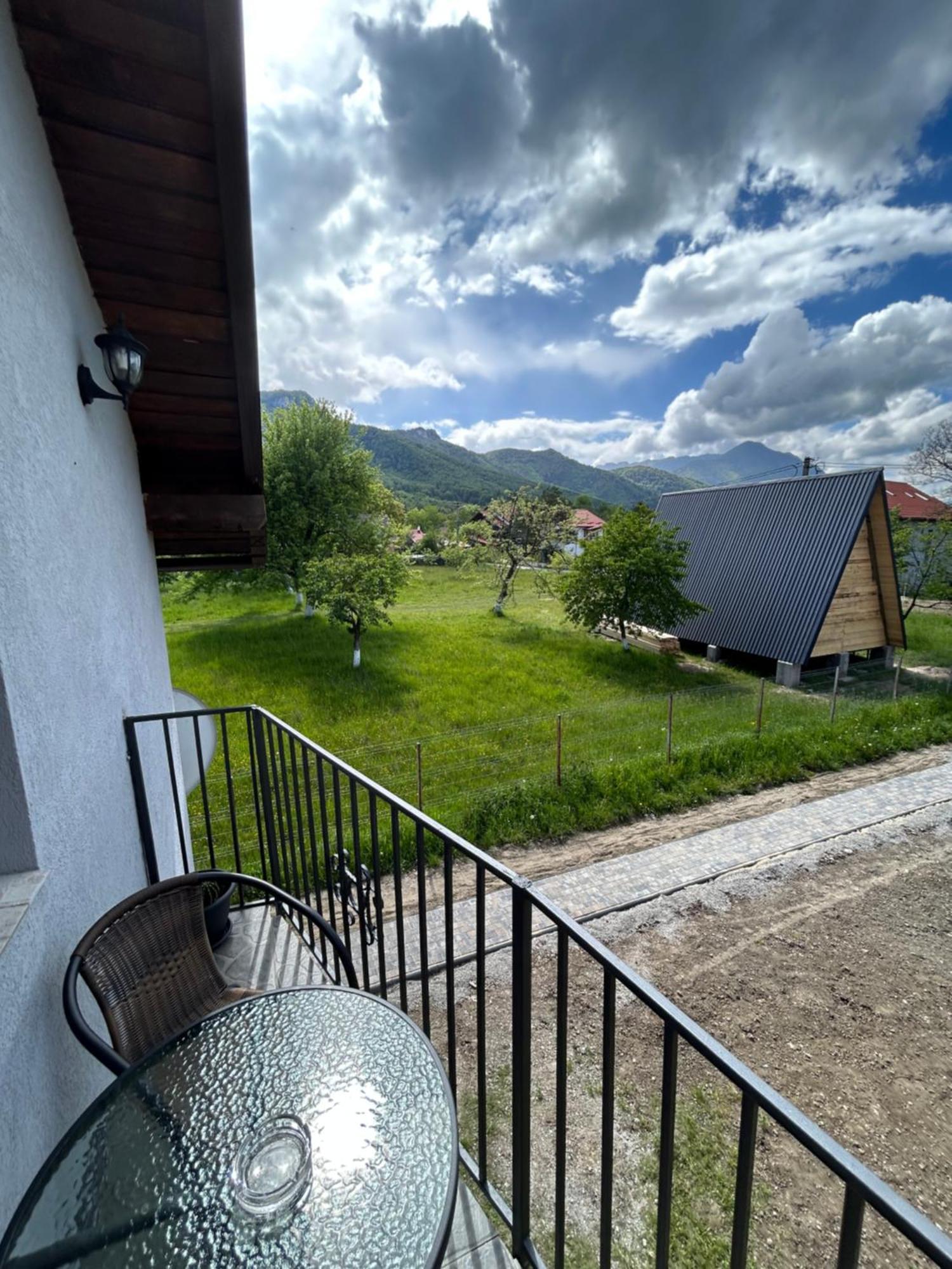 Villa Casa Luca Ama Bran Bran  Esterno foto