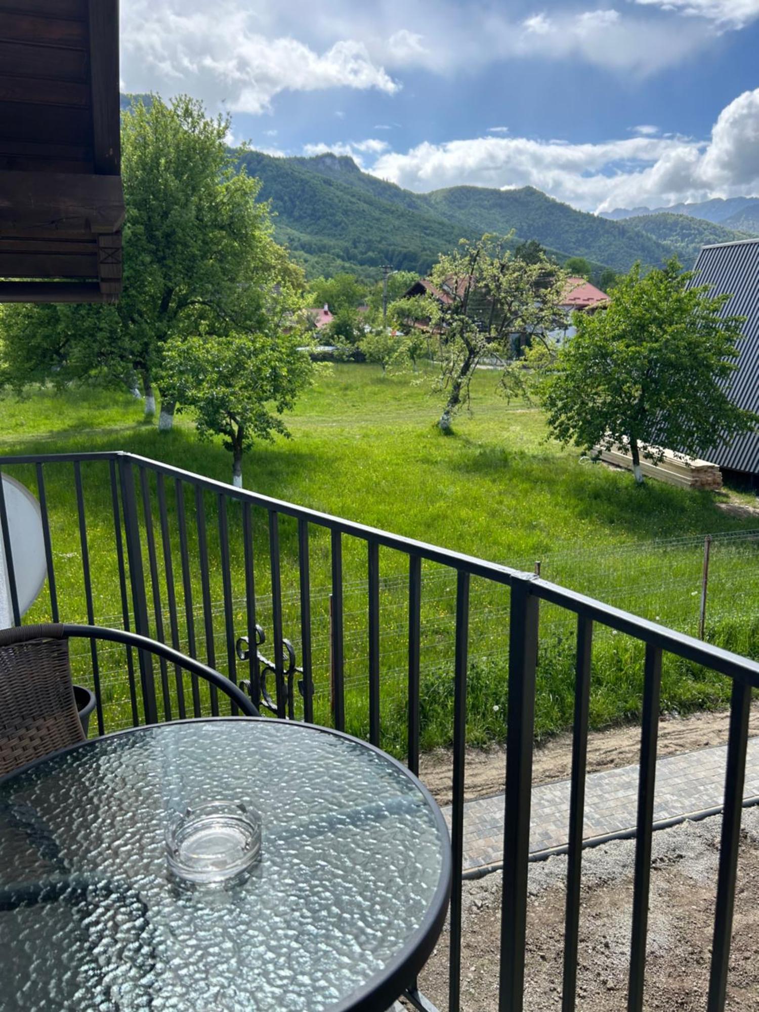 Villa Casa Luca Ama Bran Bran  Esterno foto