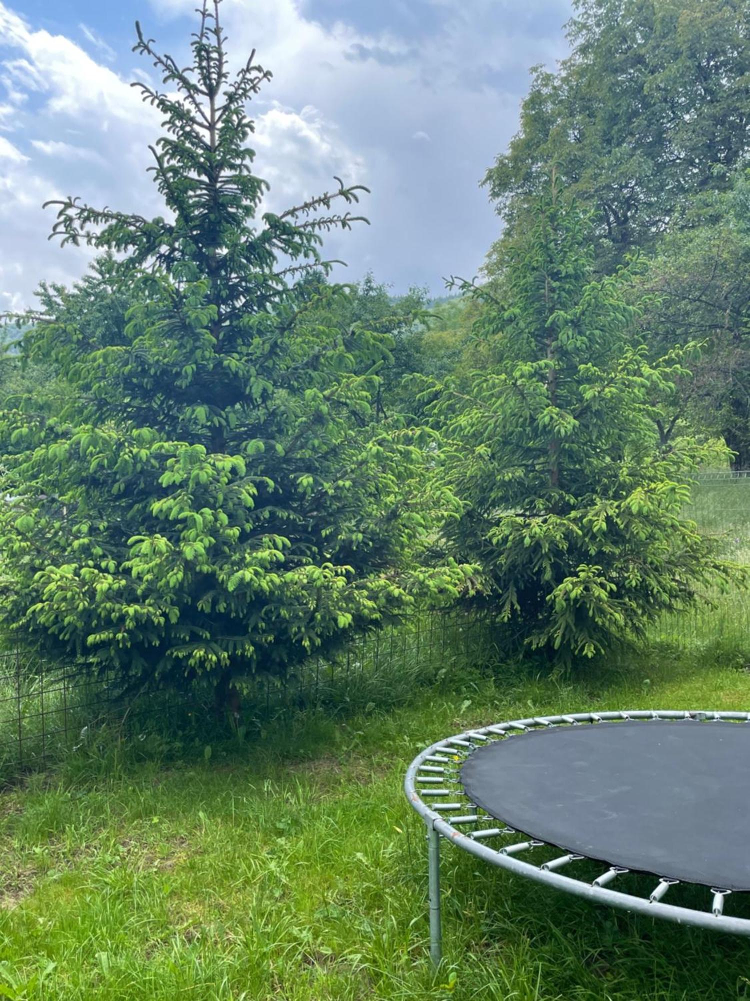 Villa Casa Luca Ama Bran Bran  Esterno foto