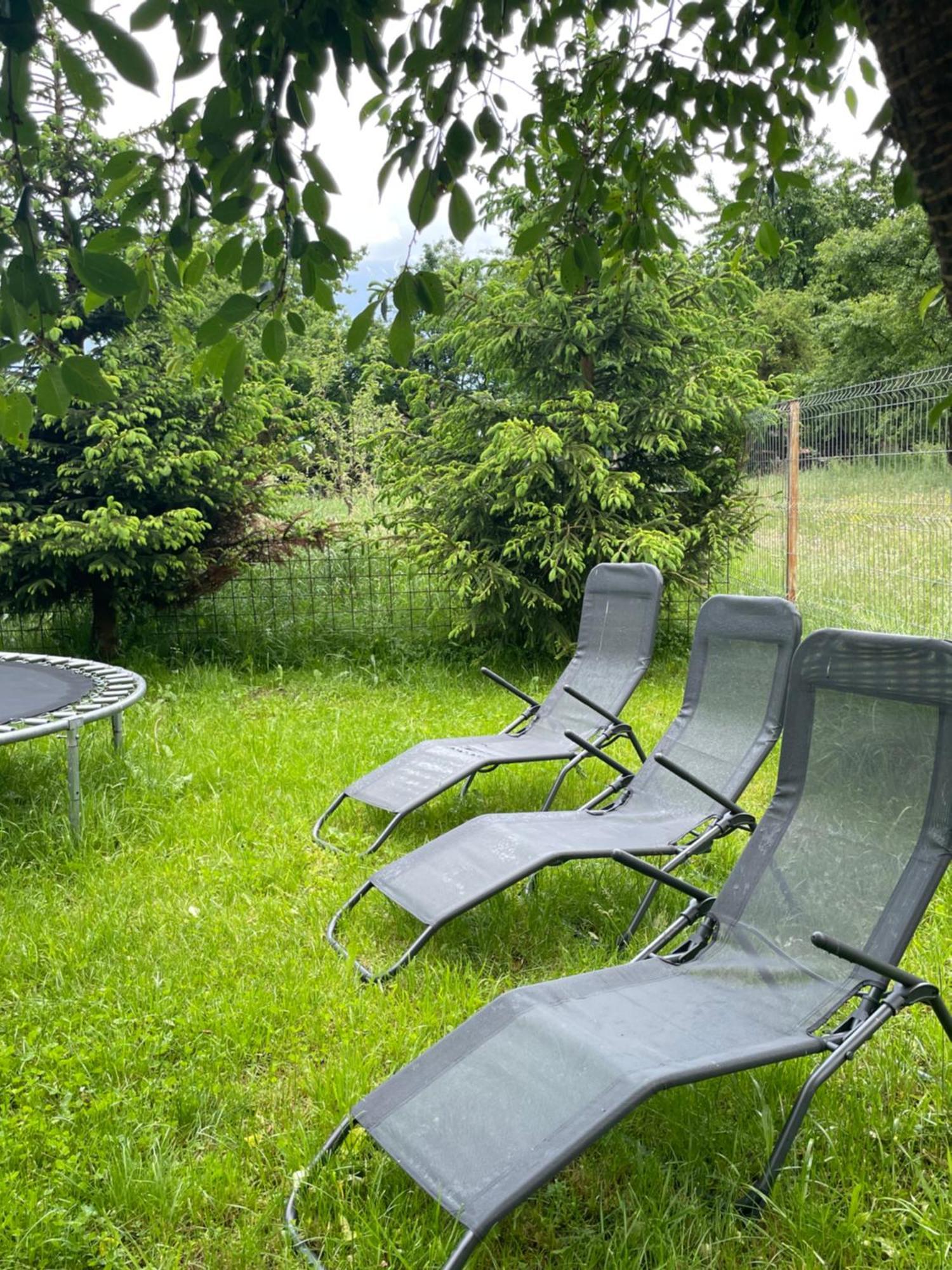 Villa Casa Luca Ama Bran Bran  Esterno foto